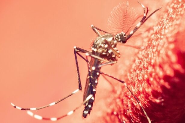 Scientists Discover West Nile Virus in The UK For The First Time : ScienceAlert