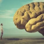 Scientists Don’t Know Why Consciousness Exists, And a New Study Proves It : ScienceAlert