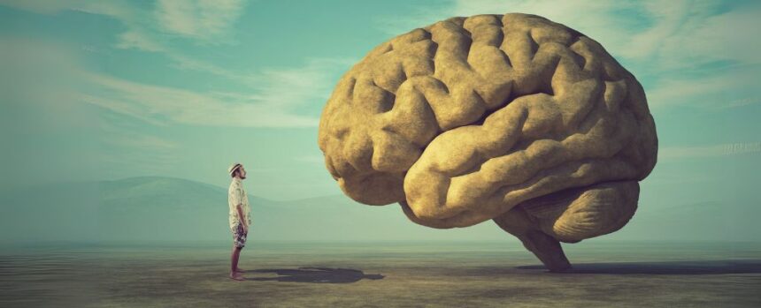 Scientists Don’t Know Why Consciousness Exists, And a New Study Proves It : ScienceAlert