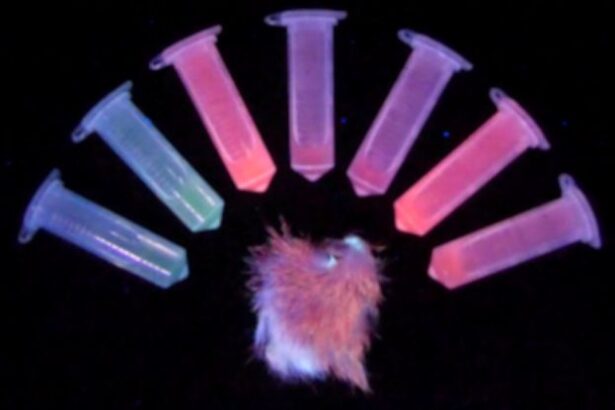 Scientists Shaved Roadkill to Find Out How Mammals Glow in The Dark : ScienceAlert