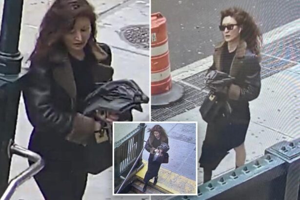 Scissor-wielding, well-dressed woman punches, stabs man taking photos on NYC street in broad daylight: cops