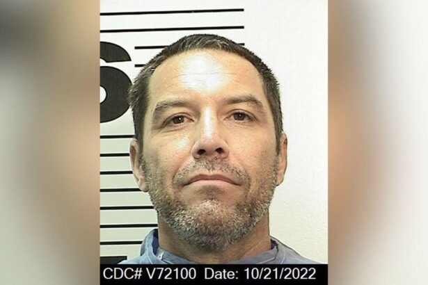 Scott Peterson and His Murder Trial: Everything To Know