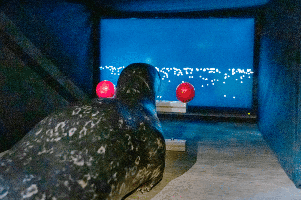 Seals playing a video game reveal how they find their way