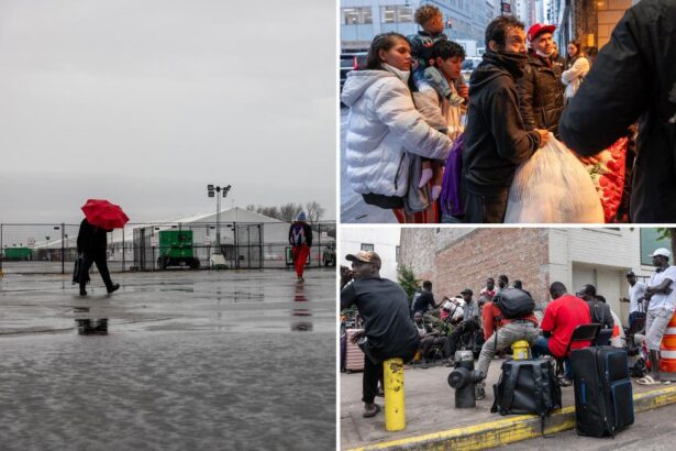 Shocking data detail NYC illegal migrant crime