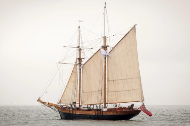 Skull found on New Jersey beach linked to 19th century shipwreck