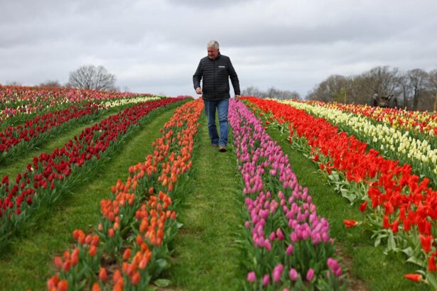 Smart retirement moves to make in your 40s and 50s