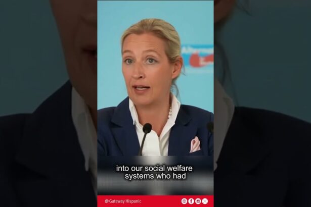 Social Crisis in Germany Due to Illegal Immigration