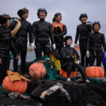 South Korea’s ‘sea women’ are genetically adapted for their tough trade