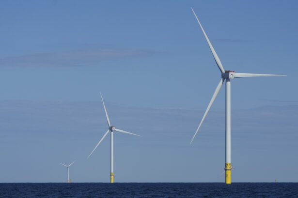 States sue Trump administration for blocking the development of wind energy : NPR