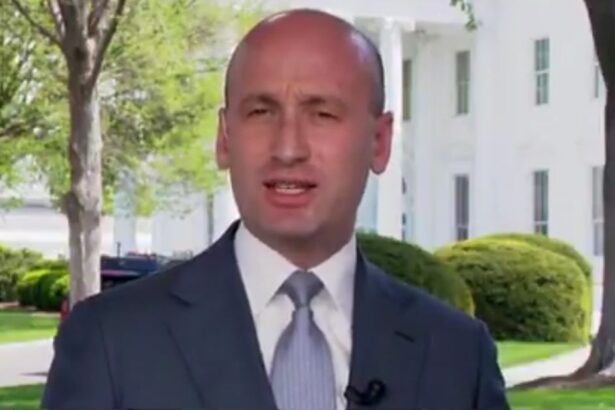 Stephen Miller’s Simple Solution After Illegal Immigrant Killed Woman While Driving 90 MPH: ‘The Entire Family Will Be Deported’ |