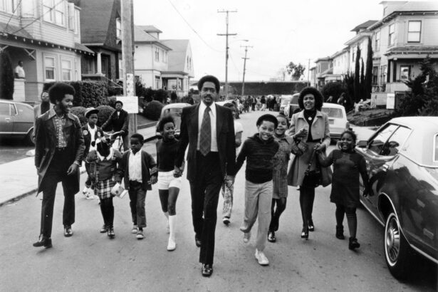 Stephen Shames Highlights a Transformational Era in ‘Black Panthers & Revolution’ — Colossal