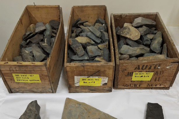 Stone tools insight into history of Tiwai Point