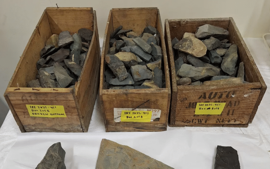 Stone tools insight into history of Tiwai Point