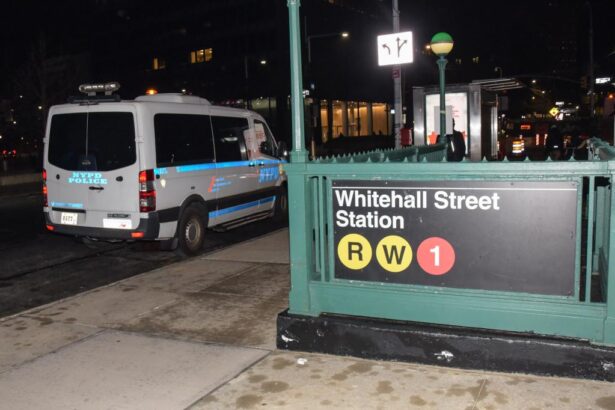 Stranger shoves two men onto NYC subway tracks: cops