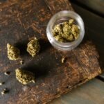 Study finds regular cannabis use, smoked or eaten, harms cardiovascular health