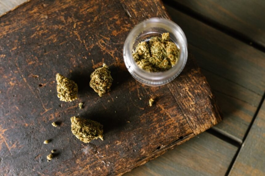 Study finds regular cannabis use, smoked or eaten, harms cardiovascular health