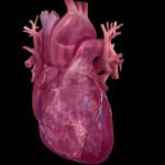 Study outlines combination method to predict heart attack risk