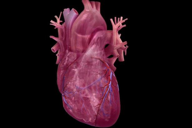 Study outlines combination method to predict heart attack risk