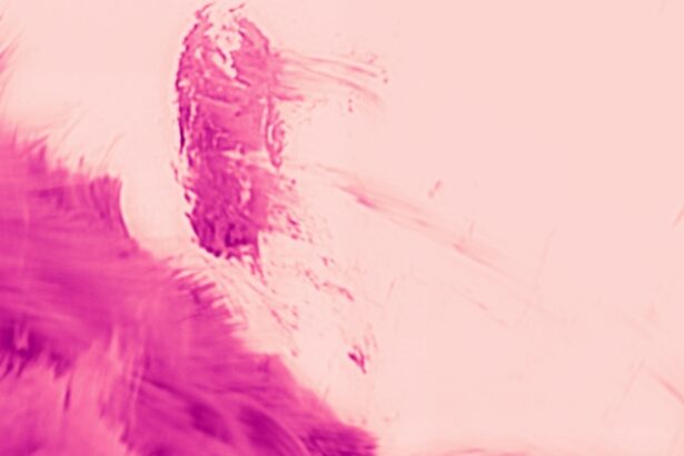 Stunning Images Reveal The Sun’s Surface in Unprecedented Detail : ScienceAlert