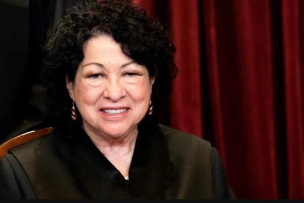 Supreme Court Justice Sonia Sotomayor Lets Her Partisan Mask Slip in Comments: ‘We Can’t Lose the Battles We Are Facing’ |