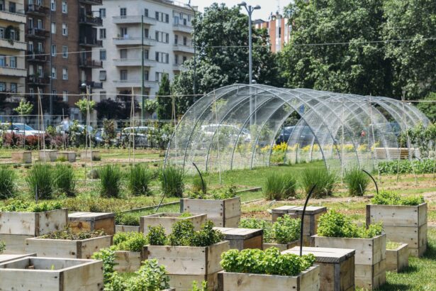 Surviving global catastrophe is a matter of community, not commerce