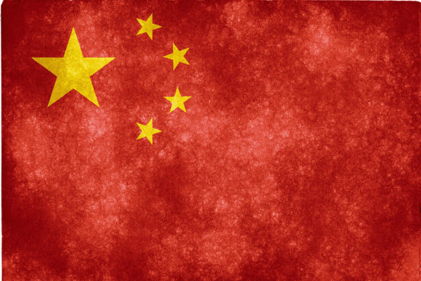 Temu Online Marketplace Halts Shipments from China to US as Trump Closes Loophole |