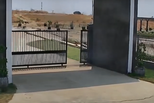 Terrifying Video Shows Earth Cracking And Sliding During Myanmar Quake : ScienceAlert