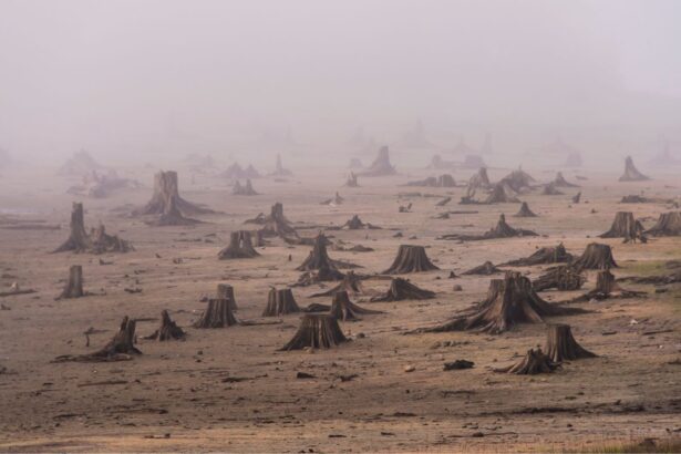 The Crumbling of Bedrock Environmental Policy: We Need to Protect NEPA 