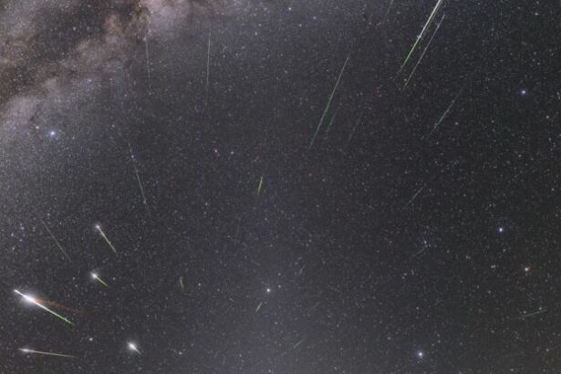 The Eta Aquariid Meteor Shower Is Just About to Peak : ScienceAlert