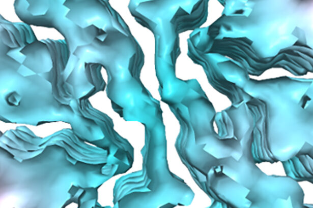 The First Synthetic ‘Mini Prion’ Could Help Study Diseases Like Alzheimer’s : ScienceAlert