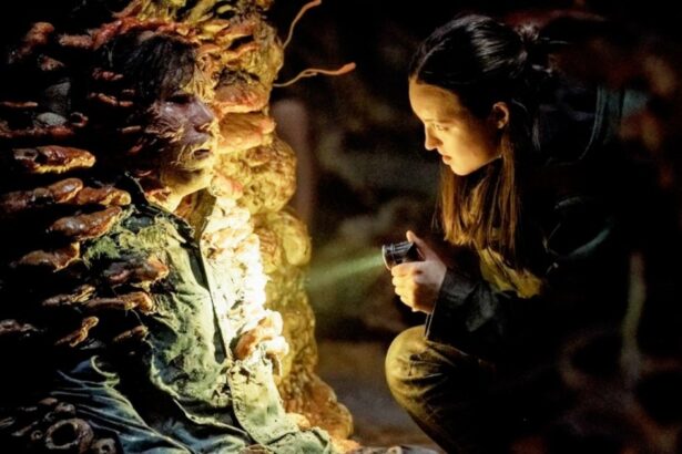 The Last of Us Season 2, Episode 5 — Release Time, Date, Plot, How to Watch