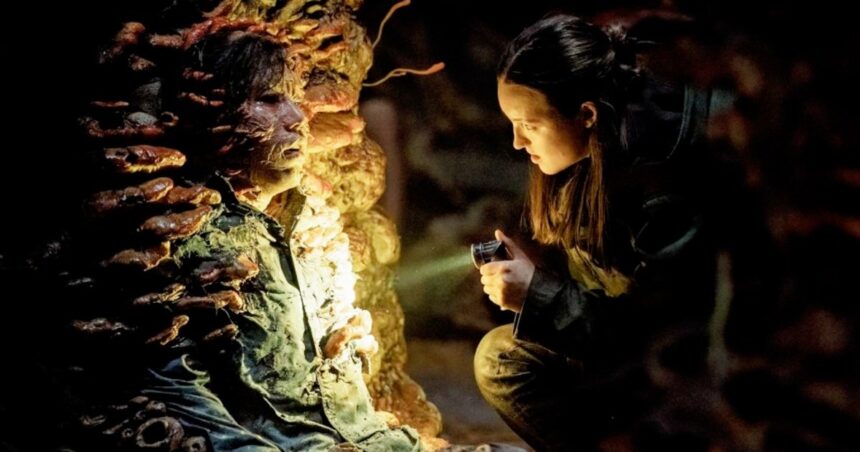 The Last of Us Season 2, Episode 5 — Release Time, Date, Plot, How to Watch