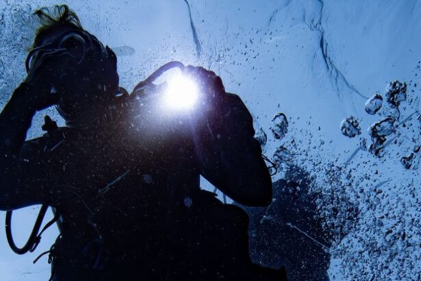 The Ocean Is Getting Darker, Threatening All That Lives Within : ScienceAlert