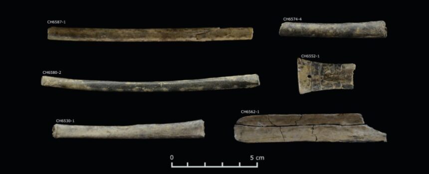 The Oldest Evidence of Psychedelics in The Andes Predates The Inca : ScienceAlert