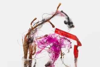 The Unexpected Beauty of Detritus