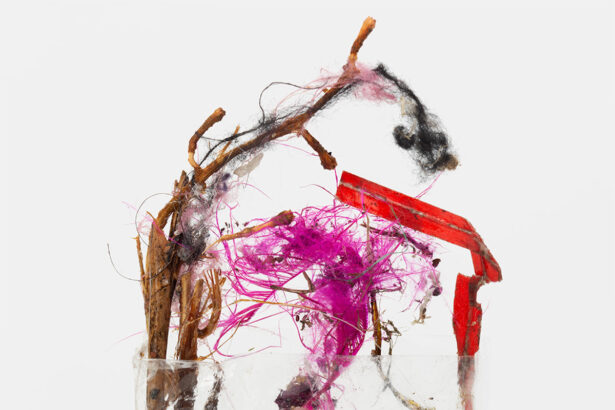 The Unexpected Beauty of Detritus