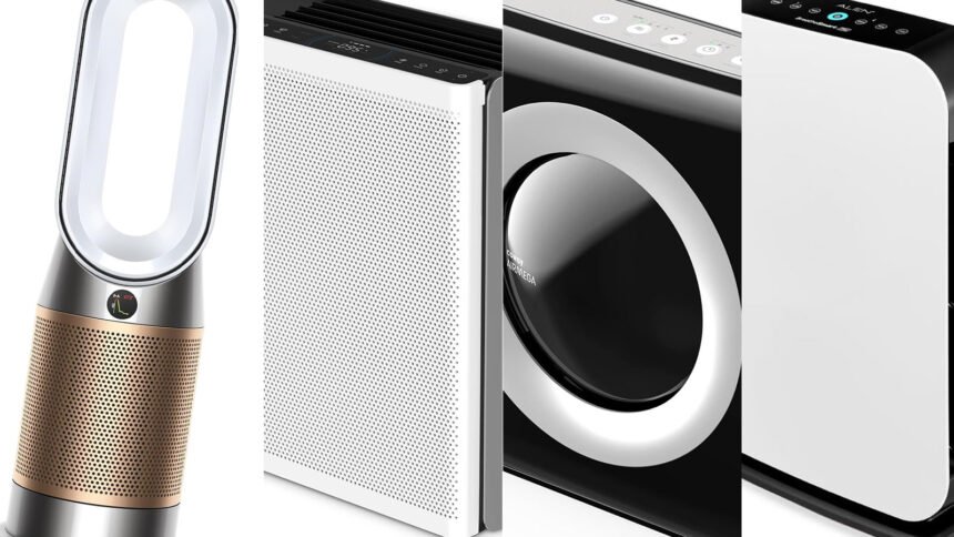The best air purifiers for asthma in 2025, according to experts