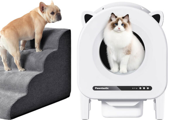 The best deals for dogs and cats during Amazon’s Pet Day sale| Popular Science