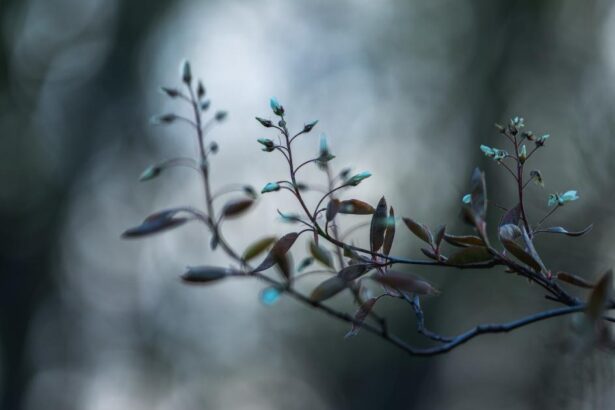 ‘The praxis of reciprocity’