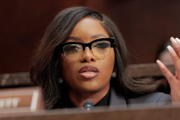 ‘There Is One Specific Candidate’: Jasmine Crockett Hints At Dem Nominee For 2028