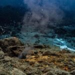 These Bacteria Can Generate Electricity