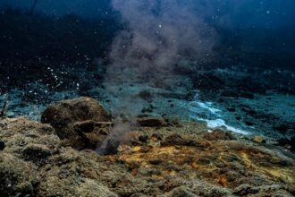 These Bacteria Can Generate Electricity