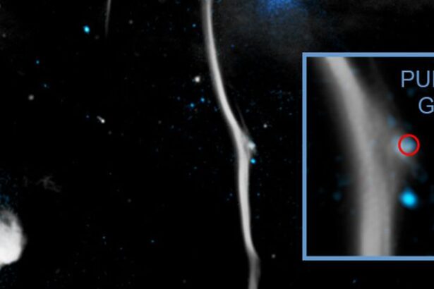 This Galactic ‘Bone’ Was Smashed by a Pulsar Clocking Up to 2 Million MPH : ScienceAlert