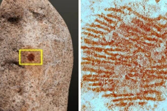 This May Be The World’s Oldest Human Fingerprint, And That’s Not All : ScienceAlert