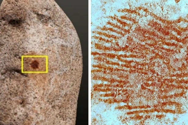 This May Be The World’s Oldest Human Fingerprint, And That’s Not All : ScienceAlert