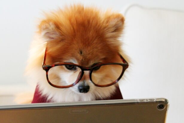 This Memory Technique Primes The Brain to Absorb More Information : ScienceAlert