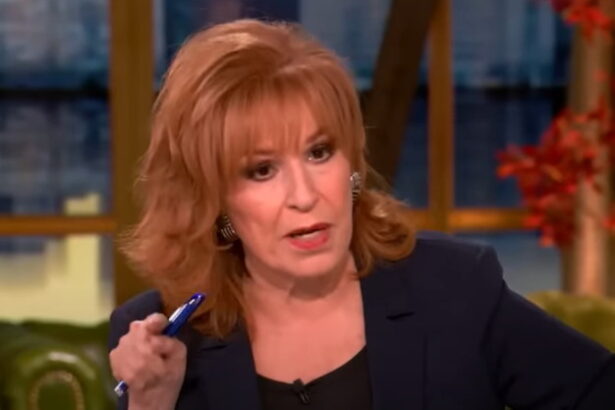 This Obnoxious Comment From Joy Behar of ‘The View’ Explains Why Democrats Will Continue Struggling to Attract Men (VIDEO) |