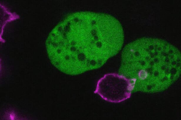 This parasite rips apart human cells and wears them as disguises