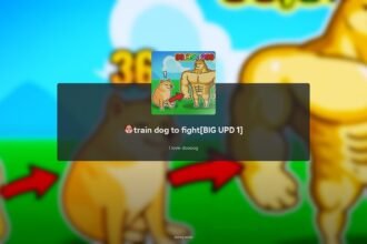 Train Dog to Fight: A beginner’s guide