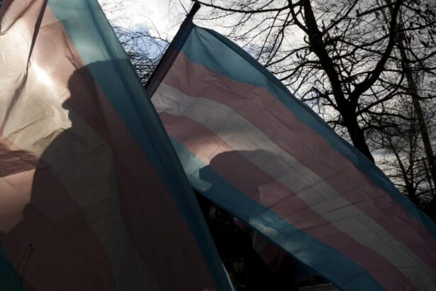 Trans health, NIH freeze, autism research